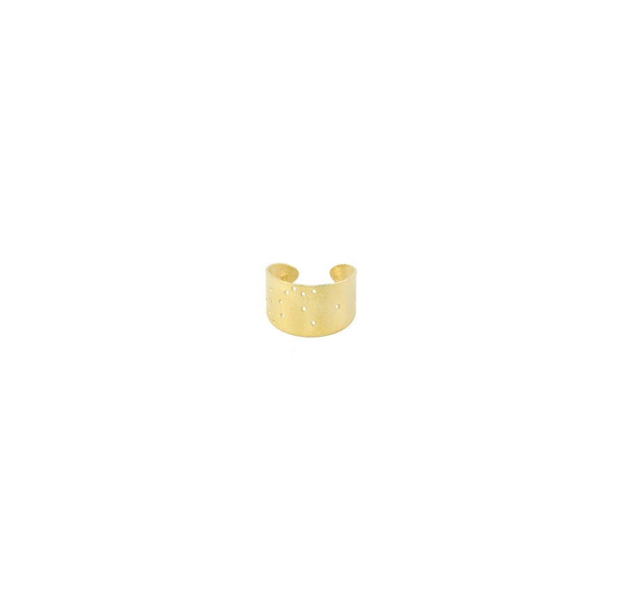 14k Gold Dipped Zodiac Constellation Rings, All 12 Signs: Aries through Pisces