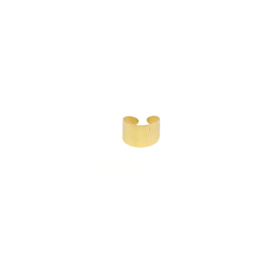 14k Gold Dipped Zodiac Constellation Rings, All 12 Signs: Aries through Pisces