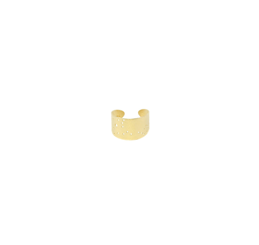 14k Gold Dipped Zodiac Constellation Rings, All 12 Signs: Aries through Pisces