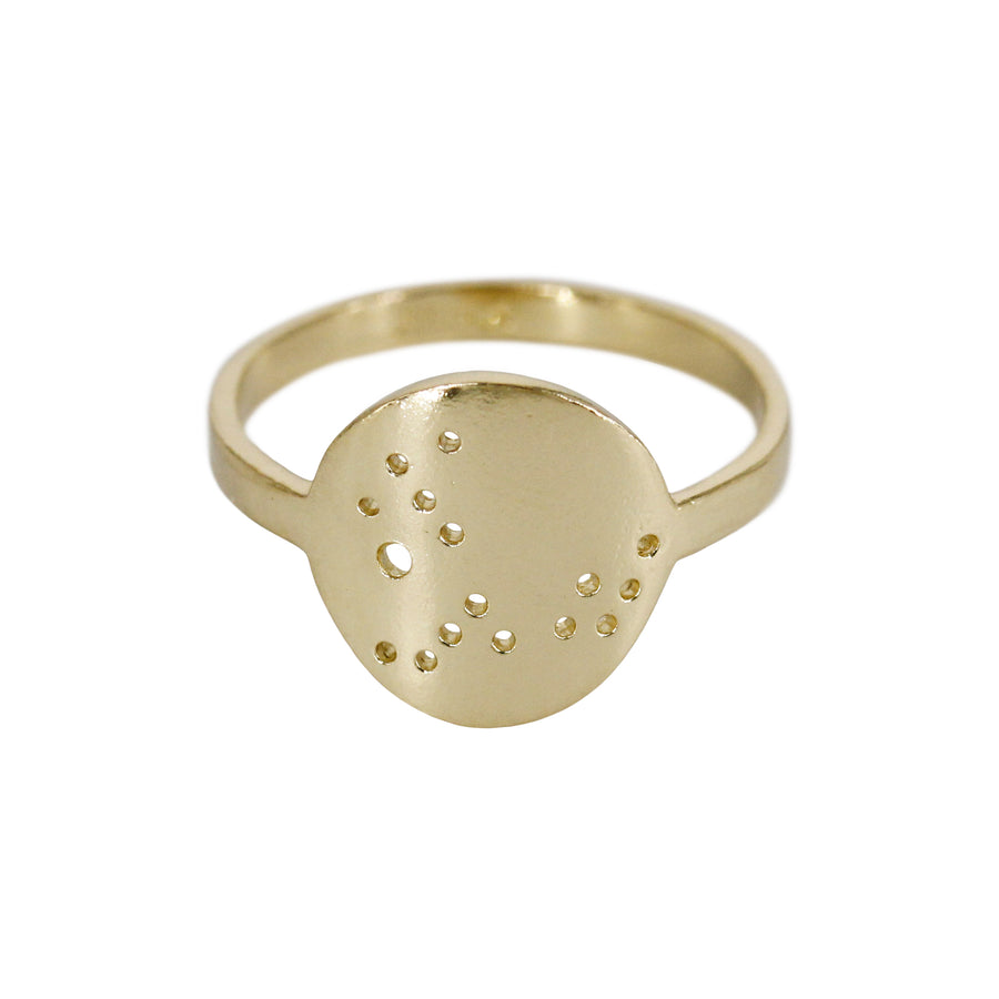 Pisces Zodiac Constellation Ring / Silver or 14k