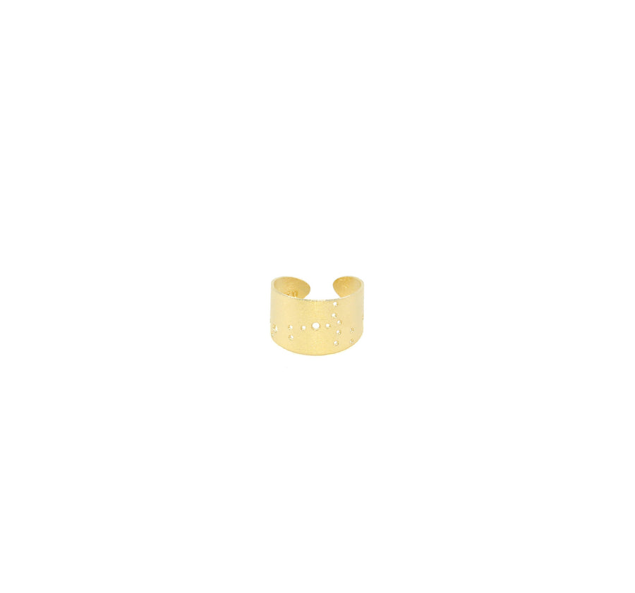 14k Gold Dipped Zodiac Constellation Rings, All 12 Signs: Aries through Pisces