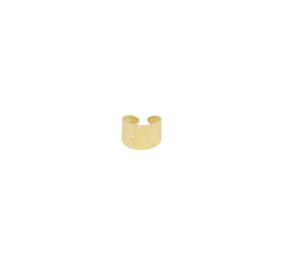 14k Gold Dipped Zodiac Constellation Rings, All 12 Signs: Aries through Pisces