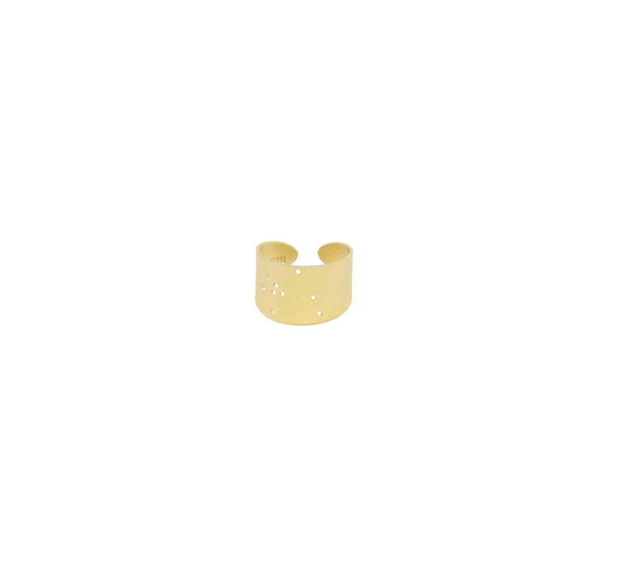 14k Gold Dipped Zodiac Constellation Rings, All 12 Signs: Aries through Pisces