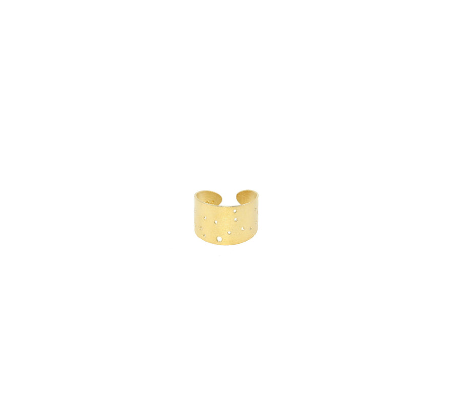 14k Gold Dipped Zodiac Constellation Rings, All 12 Signs: Aries through Pisces